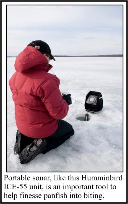 Sonar for Panfish