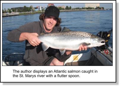St. Mary's Atlantic Salmon