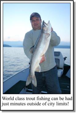 Lake Trout