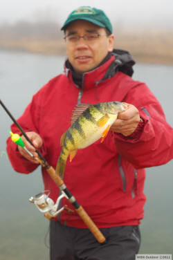 Perch Fishing