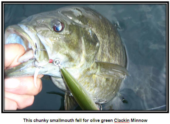 Smallmouth Bass Muskoka