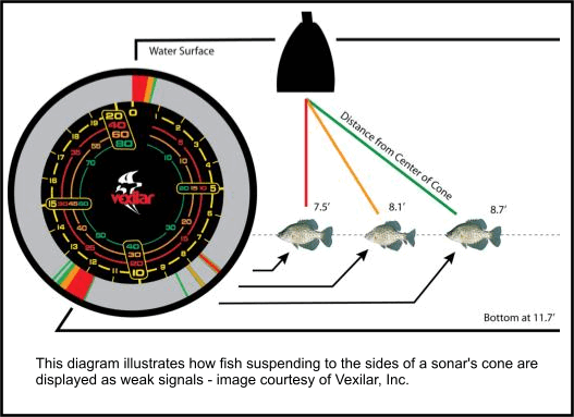 Vexilar Chart