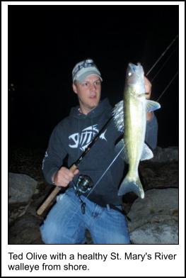 St Marys River Walleye