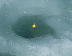 Strike indicators, like a small slip-bobber pictured here, can help detect light biters and compensate for poor rod sensitivity