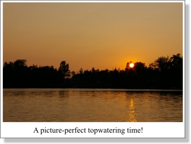 Top water muskie fishing