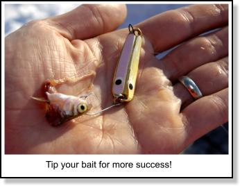 Tipping your bait with a minnow.