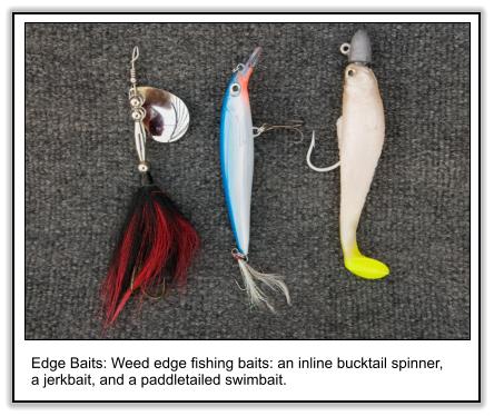 Pike Baits