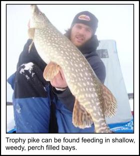 Trophy Pike