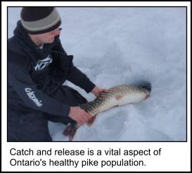 Release the PIKE!