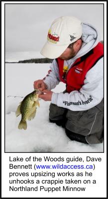 Crappie