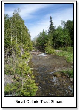 Small Ontario Trout Stream