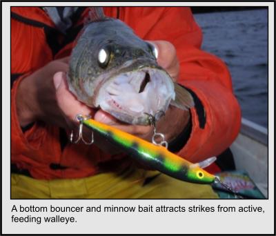 Bouncing Bottom for Walleyes