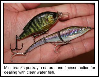 Mini Crankbaits