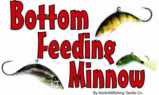 Northamfishing bottom feeding minnow